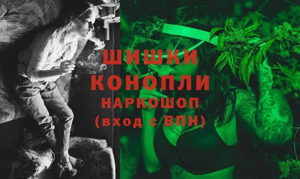 трава Арсеньев