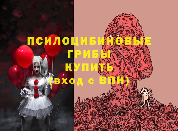 трава Арсеньев